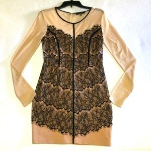 ANGL Lace/Mesh Black Dress Size L